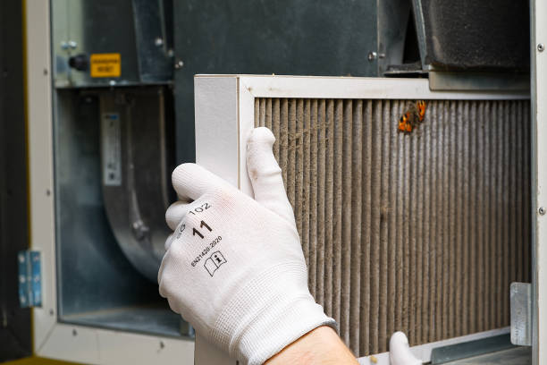 Best Affordable Air Duct Cleaning  in Miami Lakes, FL