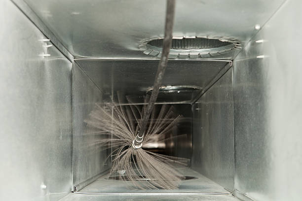 Air Duct Mold Removal in Miami Lakes, FL